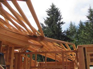 Framing, Roofing, Trusses, Building Sites
